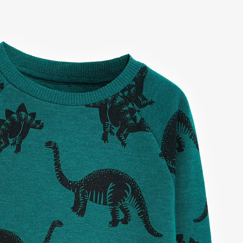Kids Dinosaur Sweatshirt - Green Print, 2 to 7 Years
