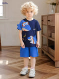 Boys Shark Print Shorts Suit - Blue