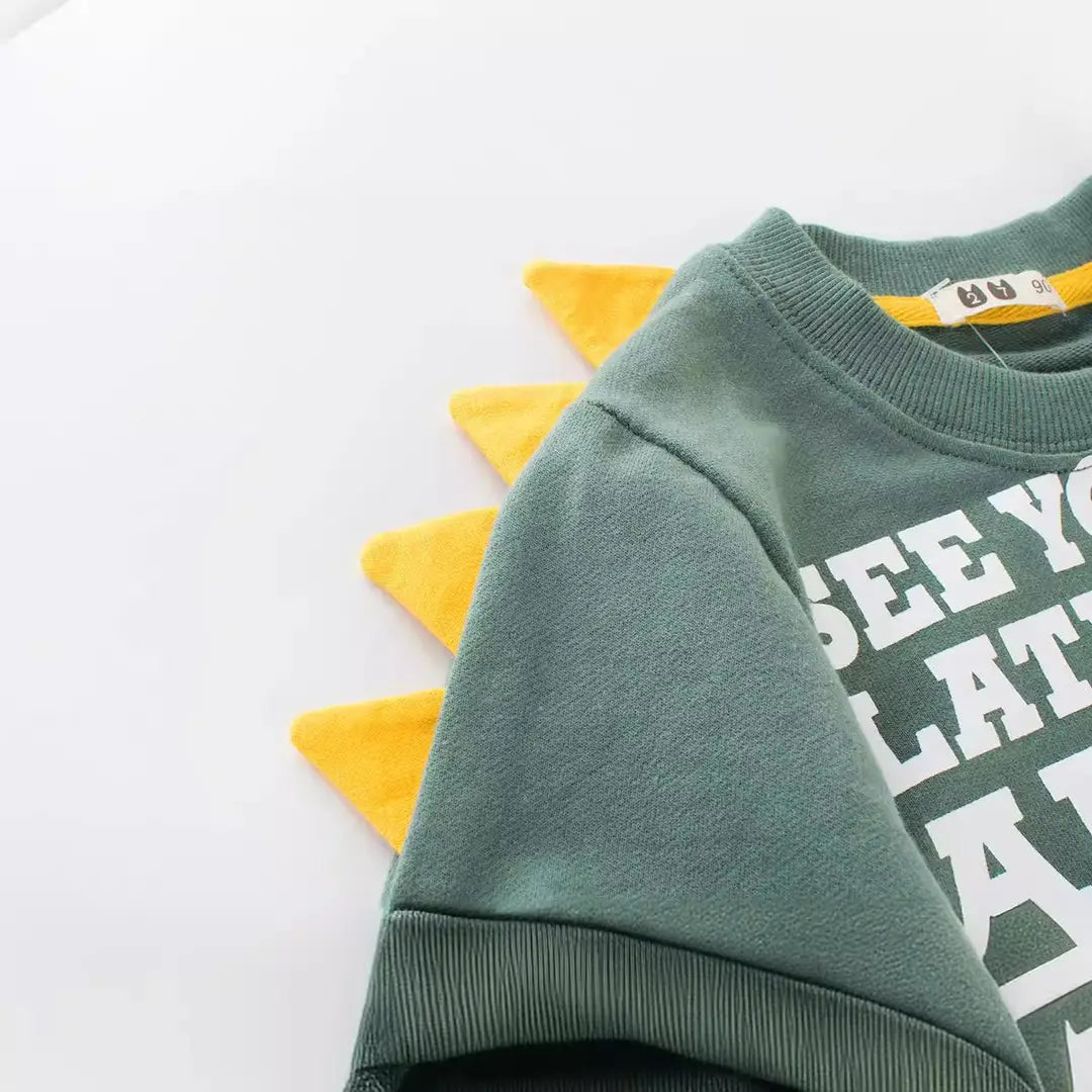 Boys Graphic Sweatshirt - Olive Green or Blue, 90 to 140cm