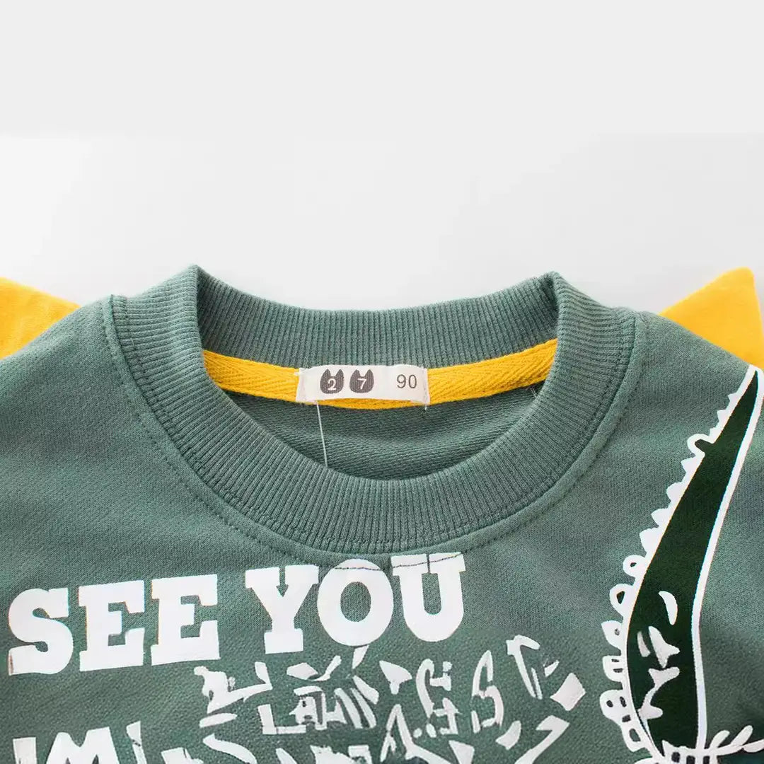 Boys Graphic Sweatshirt - Olive Green or Blue, 90 to 140cm