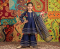 Women's Embroidered Kurta Set - Blue with Printed Dupatta
