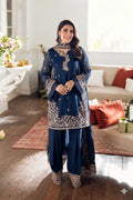 Unstitched Dhanak Suit - Blue, Embroidered, Design 2